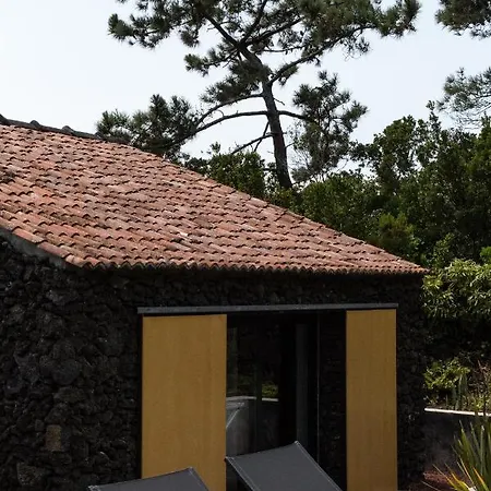 Casas Do Amarelo *