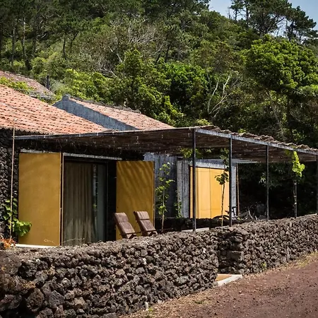 Casas Do Amarelo