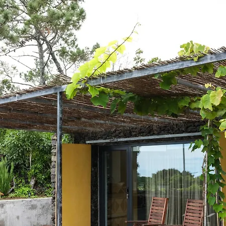 Casas Do Amarelo *