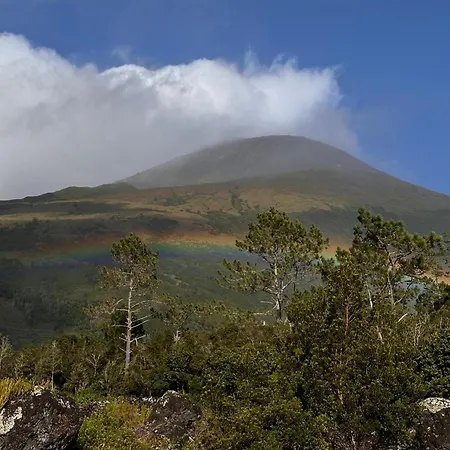 Casas Do Amarelo Chalet São Mateus