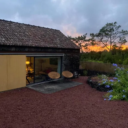 Casas Do Amarelo *