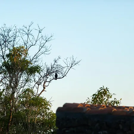 Casas Do Amarelo Chalet *