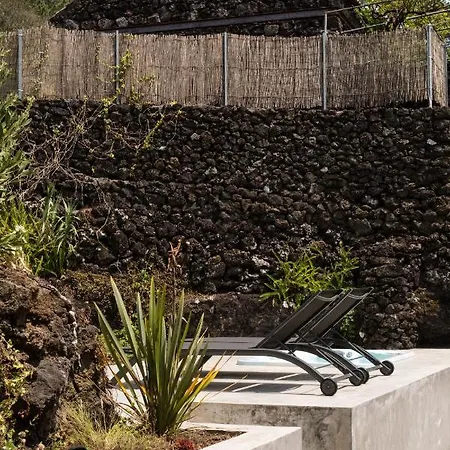 Casas Do Amarelo シャレー São Mateus