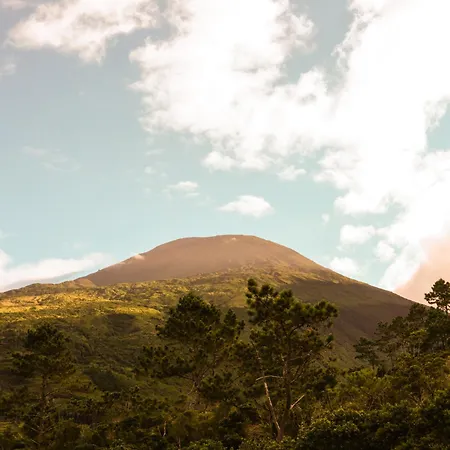 Casas Do Amarelo シャレー *