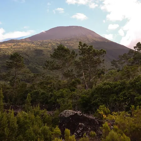 Casas Do Amarelo シャレー São Mateus