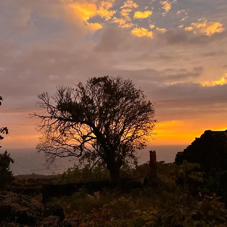 シャレー Casas Do Amarelo São Mateus