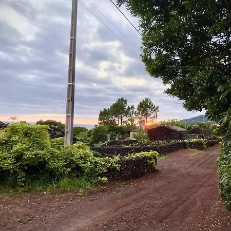 Casas Do Amarelo シャレー