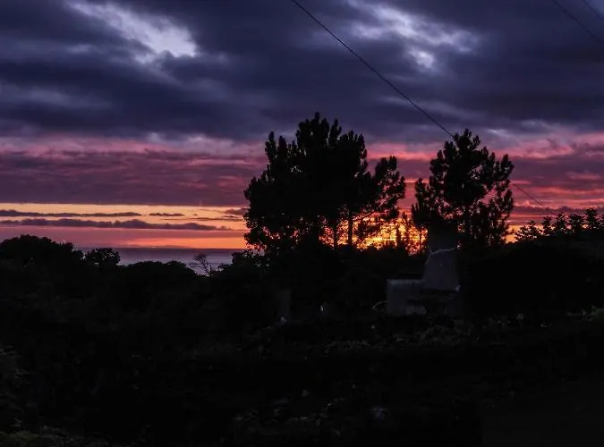 Casas Do Amarelo Chalet *