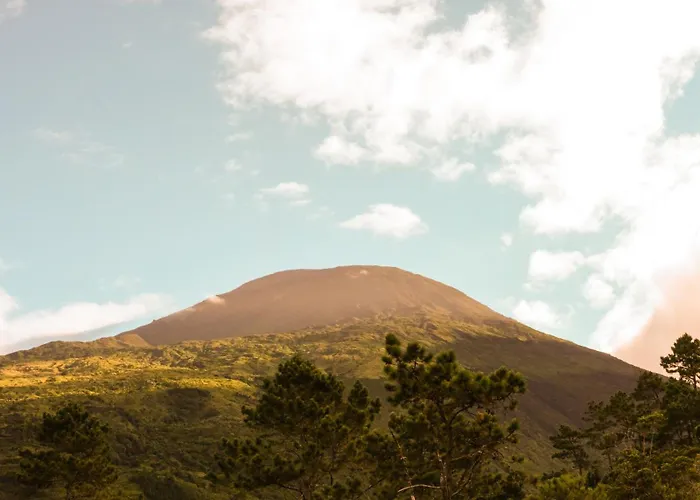 Casas Do Amarelo Chalet *