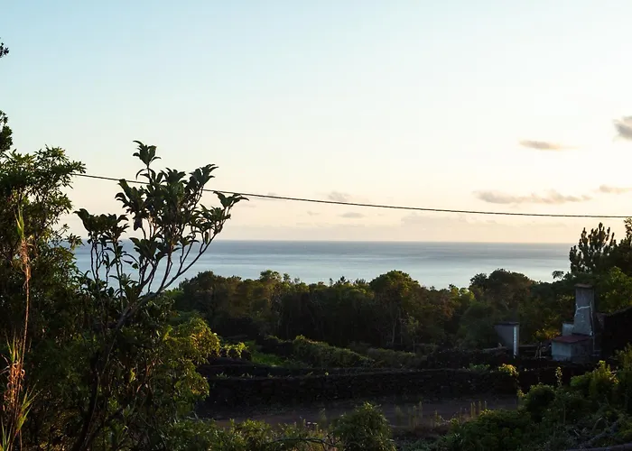 Casas Do Amarelo Sao Mateus (Pico island)