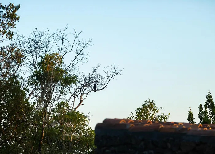 Casas Do Amarelo Chalet *